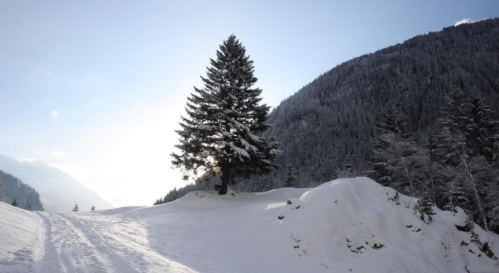 Apartments Haus Schoen - Preise Inclusive Pitztal Sommer Card Jerzens Kültér fotó