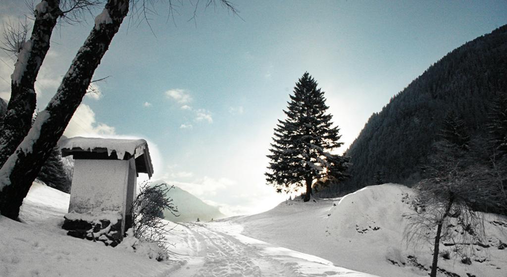 Apartments Haus Schoen - Preise Inclusive Pitztal Sommer Card Jerzens Kültér fotó