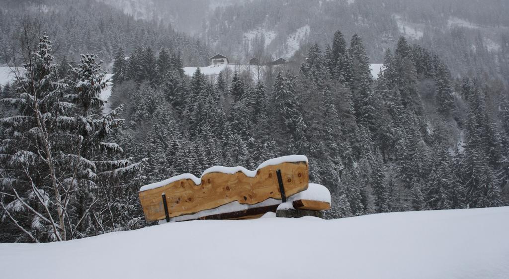 Apartments Haus Schoen - Preise Inclusive Pitztal Sommer Card Jerzens Kültér fotó